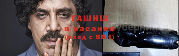 стаф Горняк