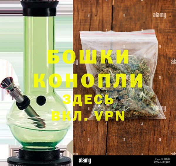 стаф Горняк