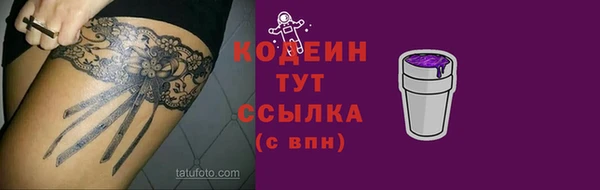 стаф Горняк