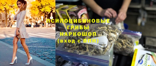 СК Горно-Алтайск