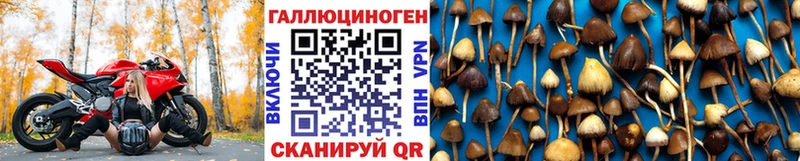 Галлюциногенные грибы MAGIC MUSHROOMS  где найти наркотики  Плёс 